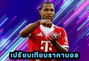 เปรียบเทียบราคาบอล